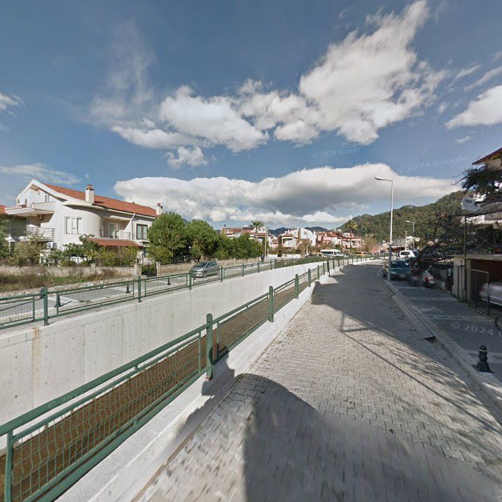 Fotoğraf 13