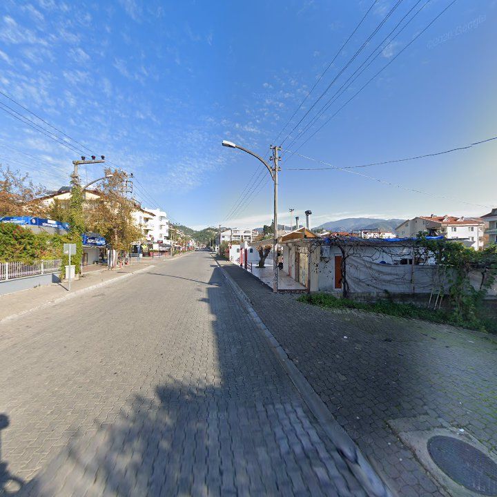 Fotoğraf 11