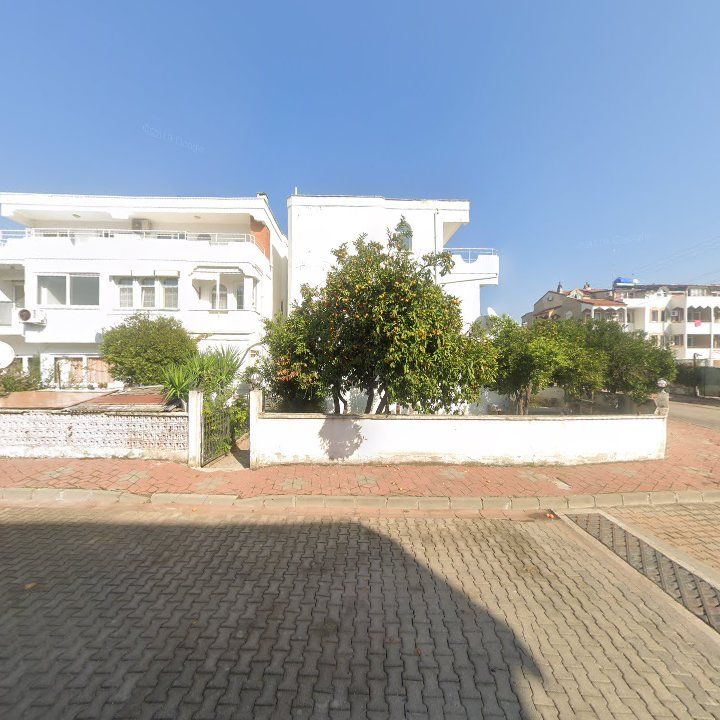 Fotoğraf 8