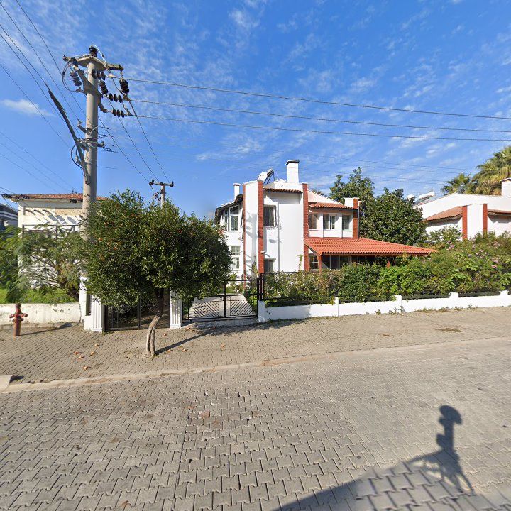 Fotoğraf 11