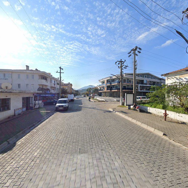 Fotoğraf 10