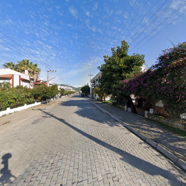 Fotoğraf 12