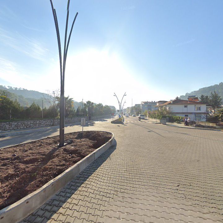 Fotoğraf 12