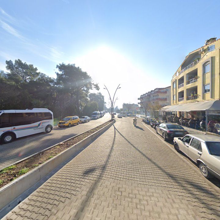 Fotoğraf 8