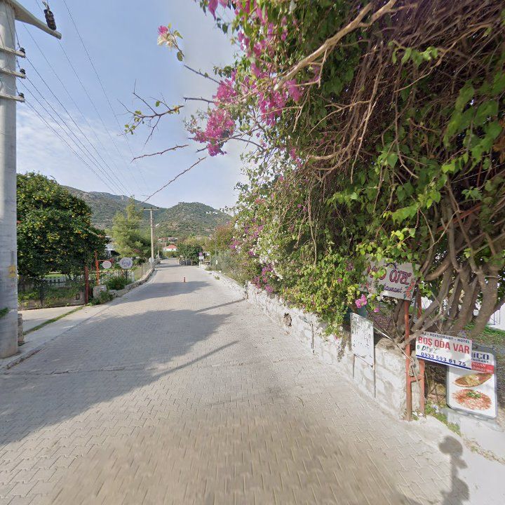 Fotoğraf 8
