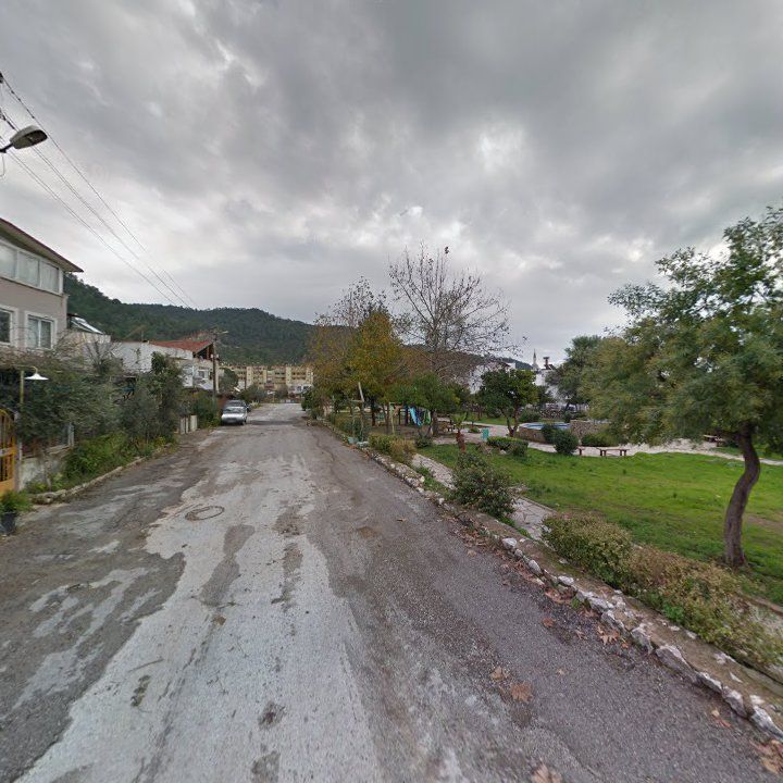 Fotoğraf 9