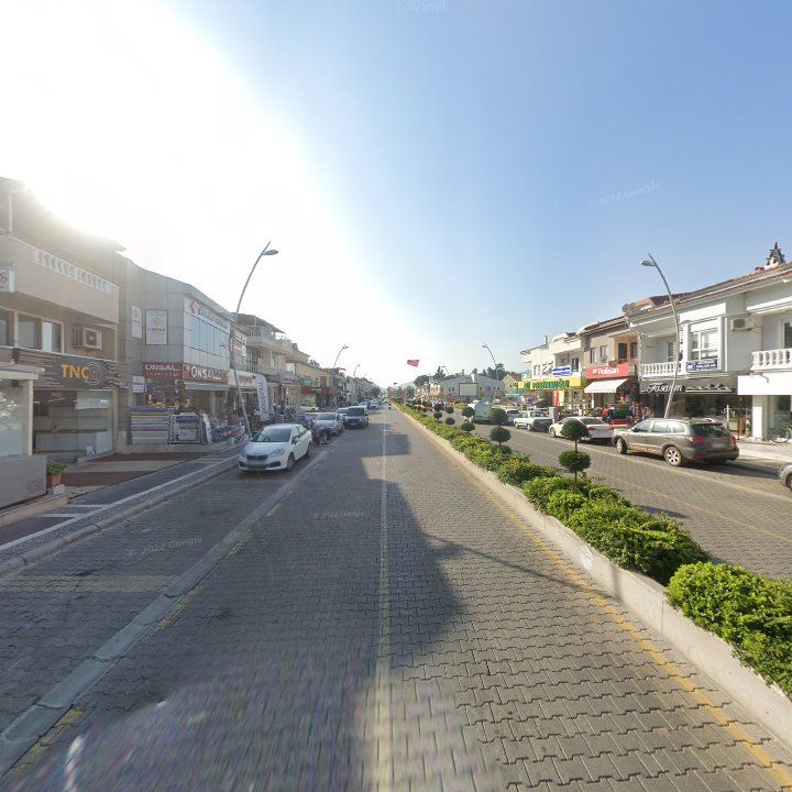 Fotoğraf 10