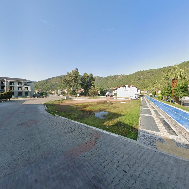 Fotoğraf 12