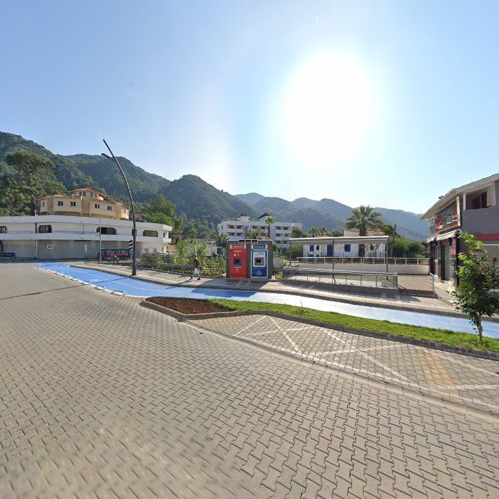 Fotoğraf 8