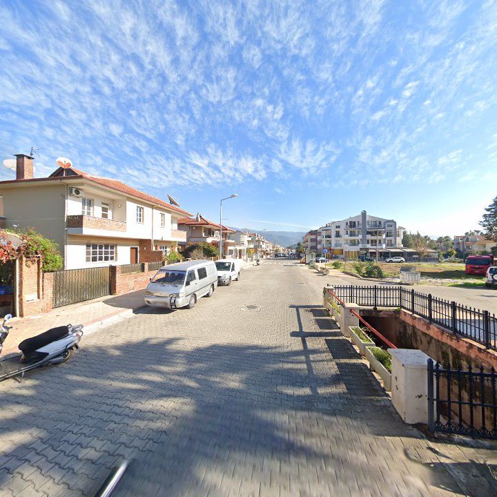 Fotoğraf 10