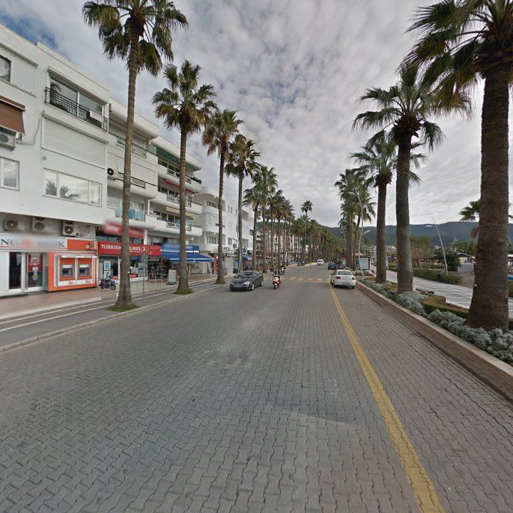 Fotoğraf 11
