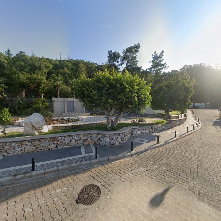 Fotoğraf 9