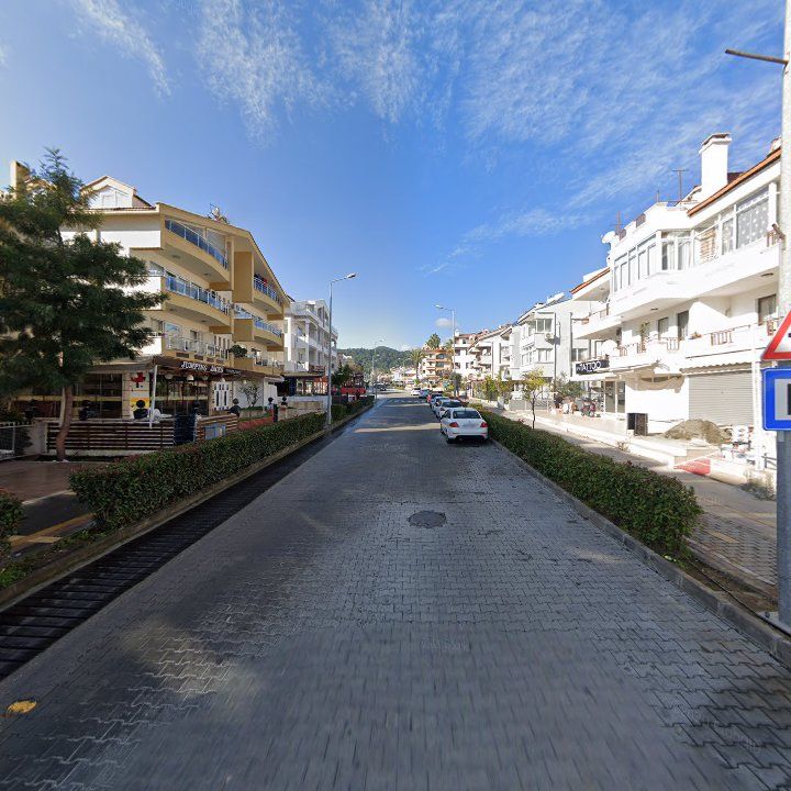 Fotoğraf 13