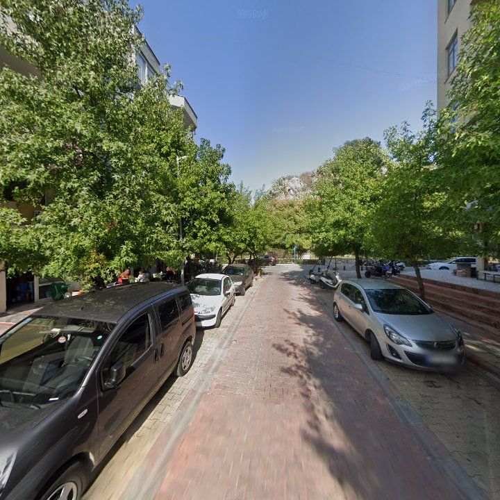 Fotoğraf 10