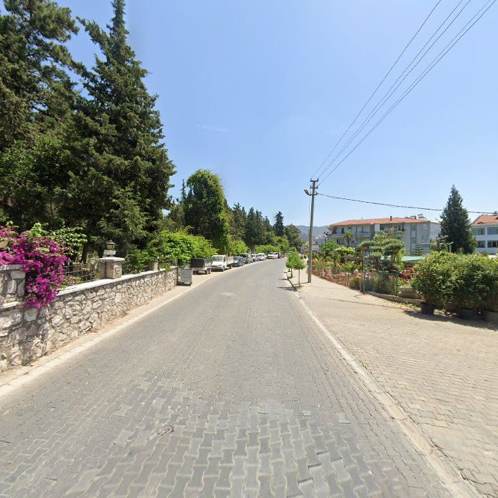 Fotoğraf 9