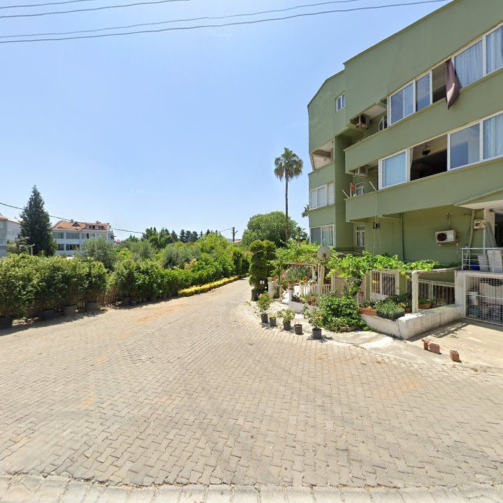 Fotoğraf 6