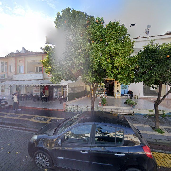 Fotoğraf 11