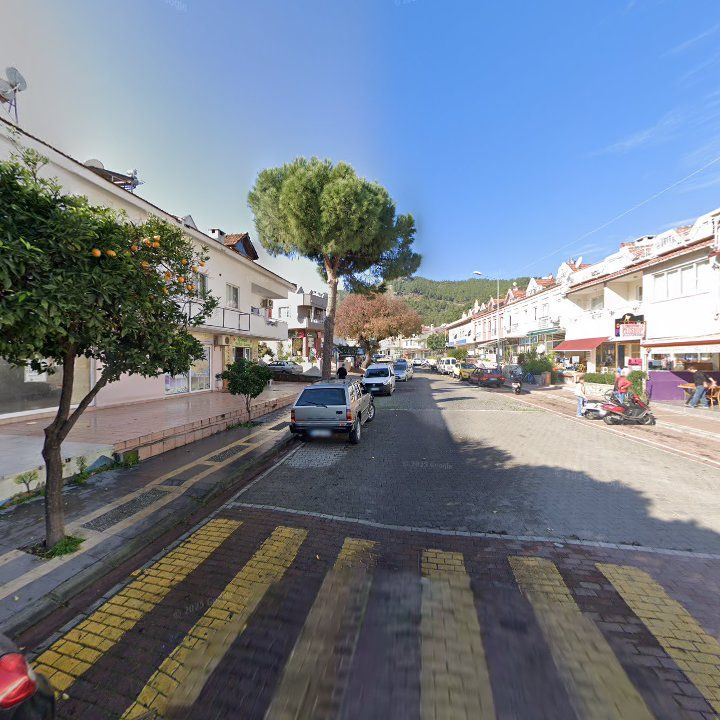 Fotoğraf 12
