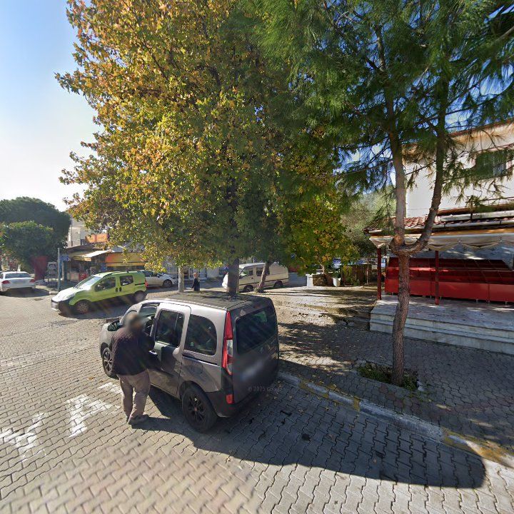 Fotoğraf 8