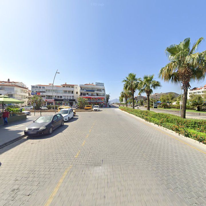 Fotoğraf 11