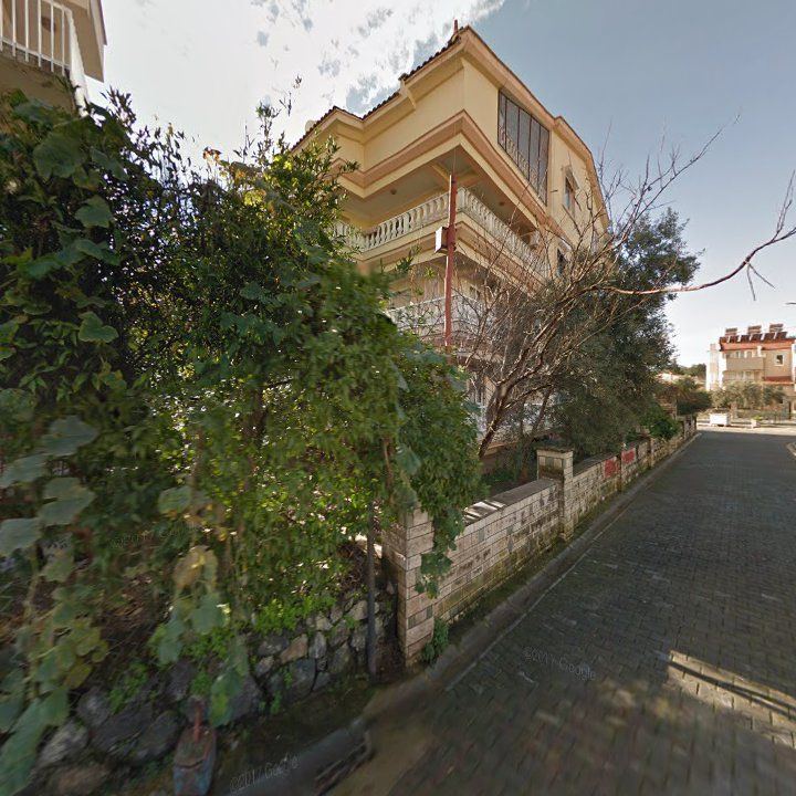 Fotoğraf 8