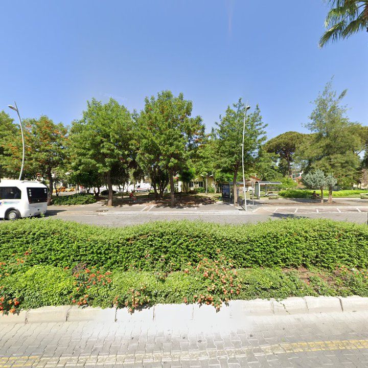 Fotoğraf 7