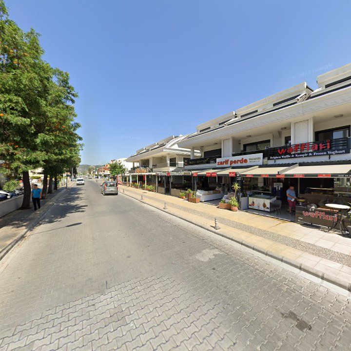 Fotoğraf 11