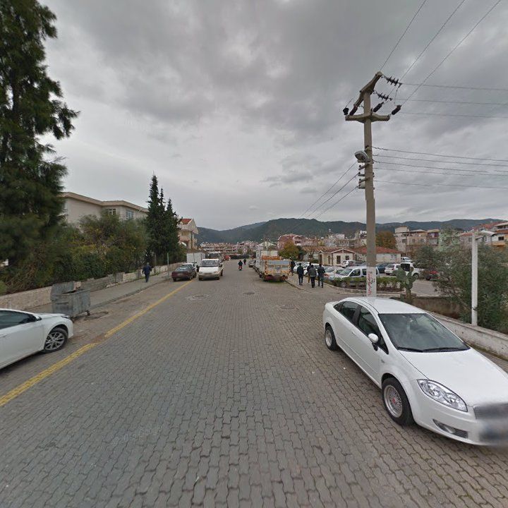 Fotoğraf 8