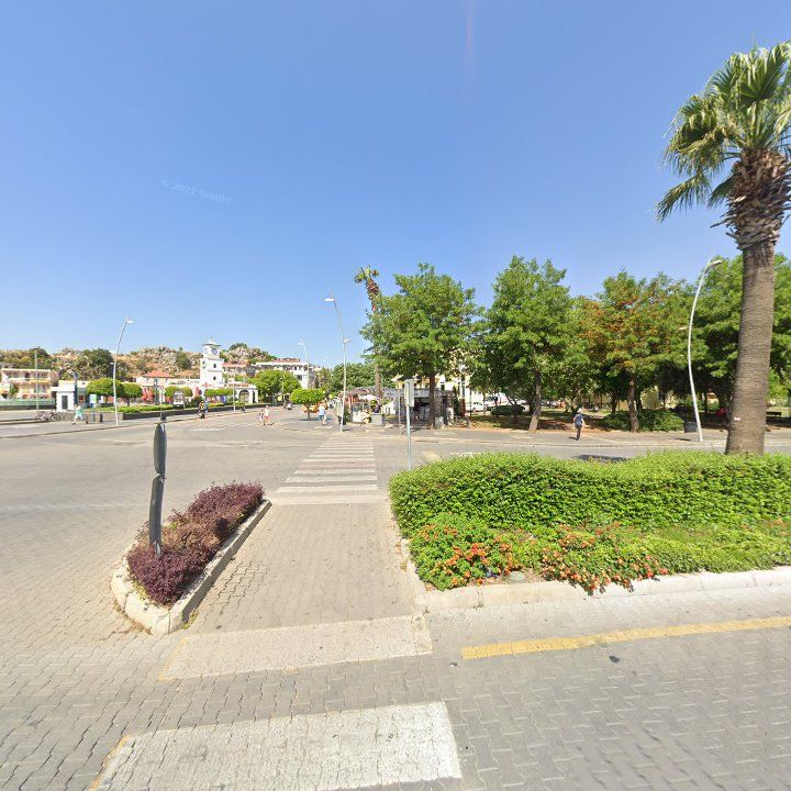 Fotoğraf 7