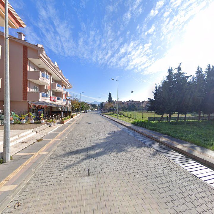 Fotoğraf 9
