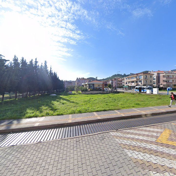 Fotoğraf 10