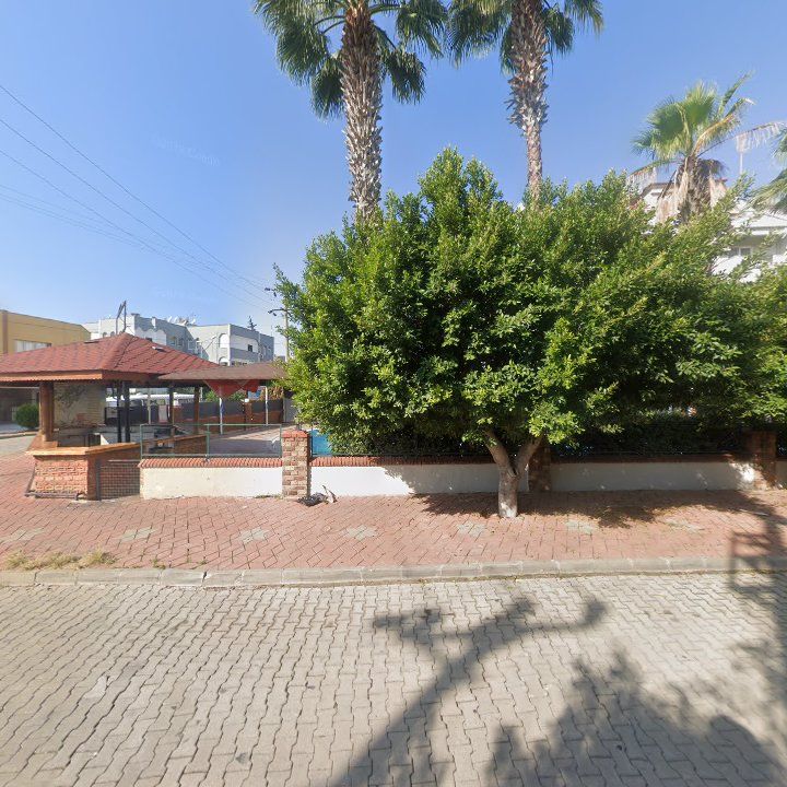 Fotoğraf 8