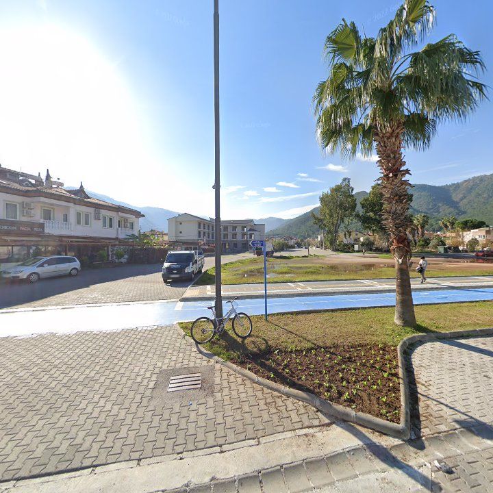 Fotoğraf 8