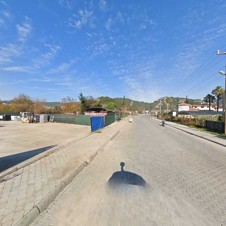 Fotoğraf 8