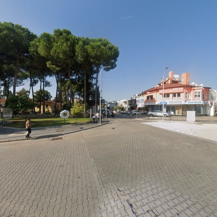 Fotoğraf 8