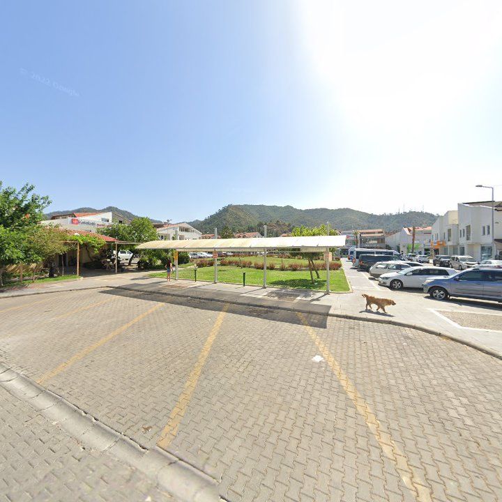Fotoğraf 9