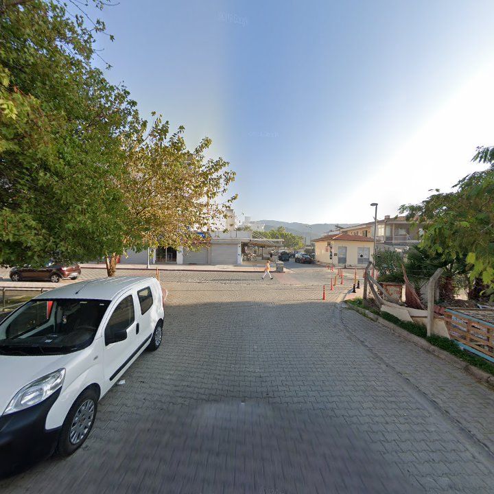 Fotoğraf 5