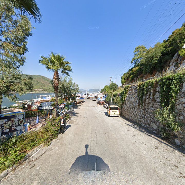 Fotoğraf 10