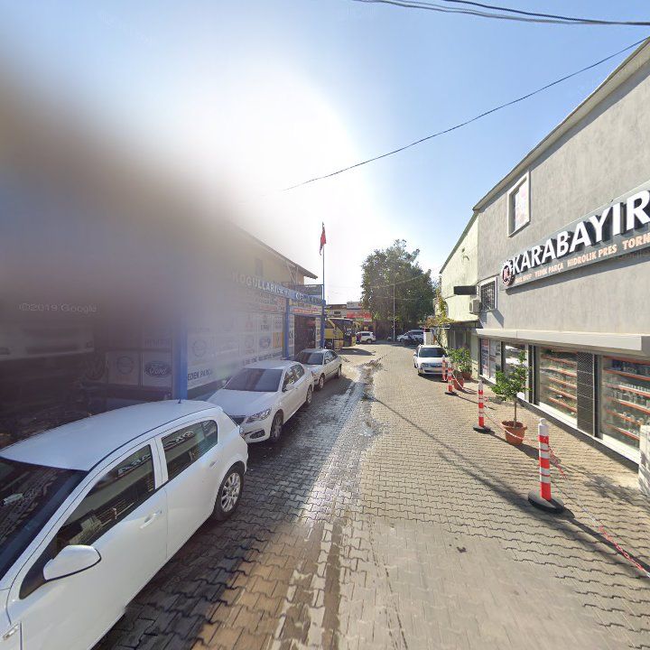 Fotoğraf 8