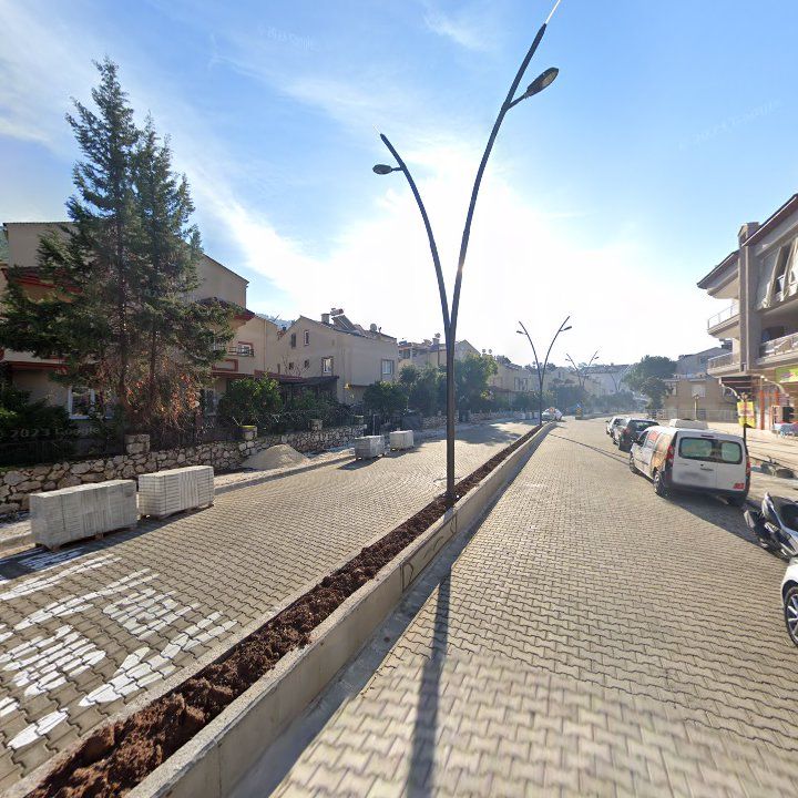 Fotoğraf 10
