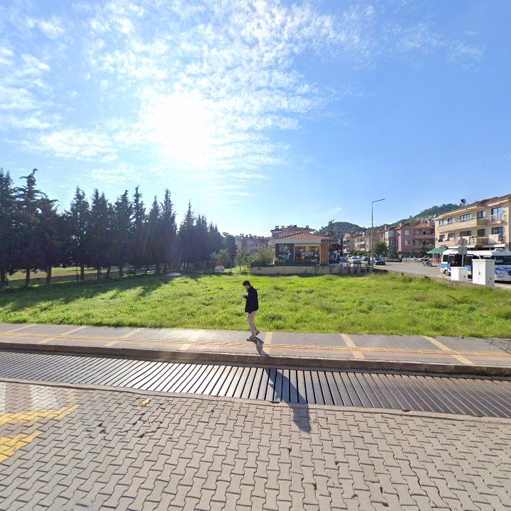 Fotoğraf 10