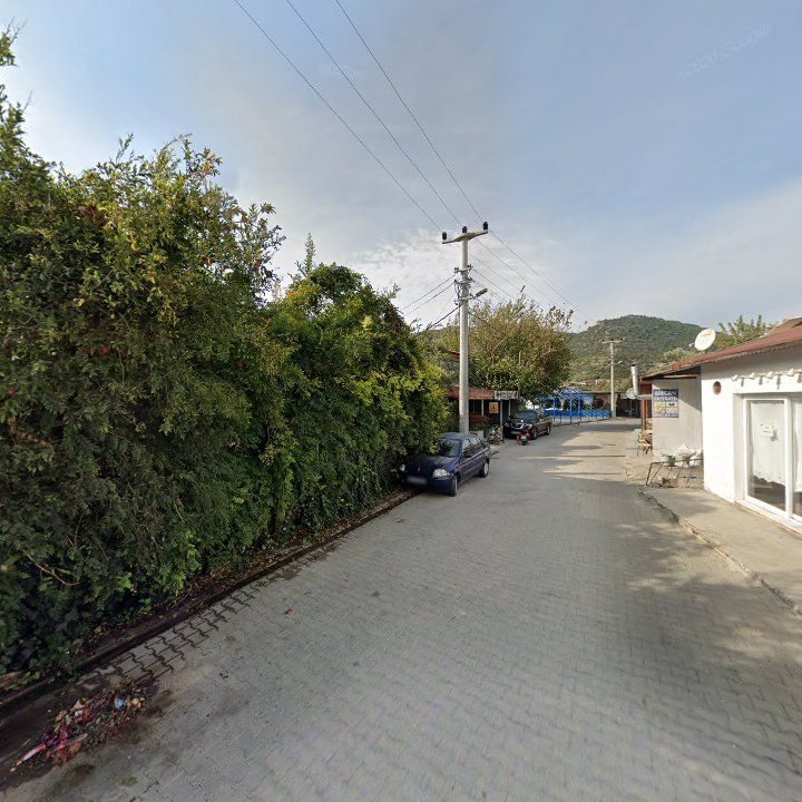 Fotoğraf 10