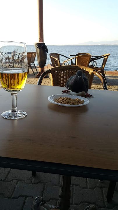 Fotoğraf 23