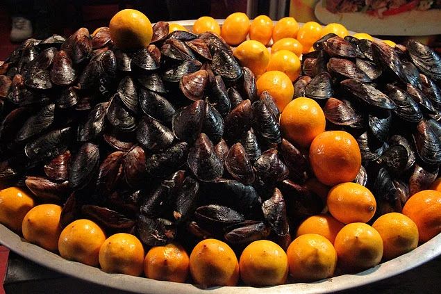 Fotoğraf 24