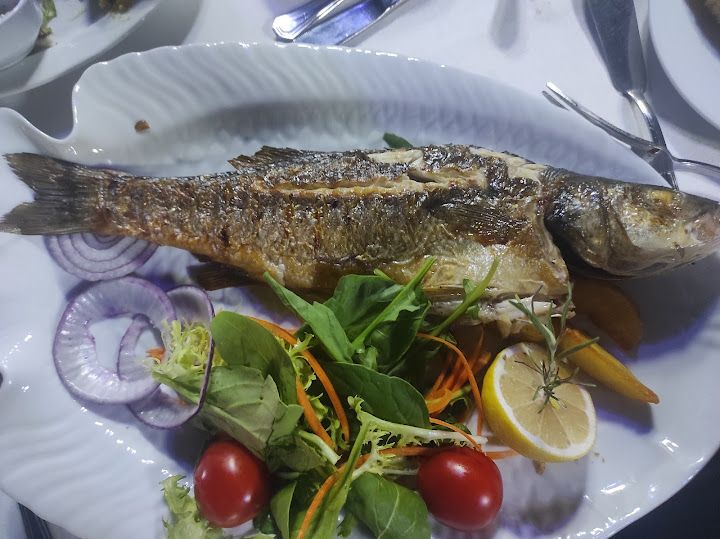 Fotoğraf 22