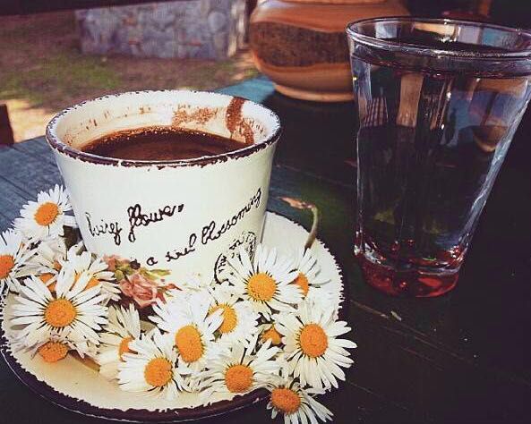 Fotoğraf 29