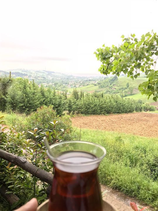 Fotoğraf 42