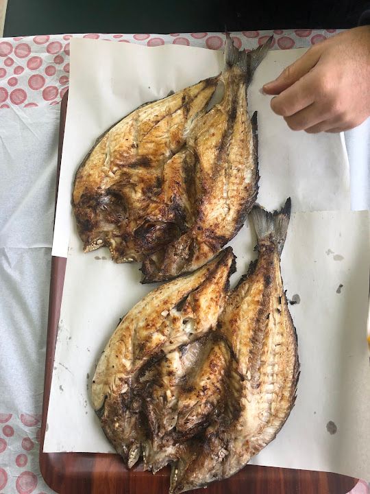 Fotoğraf 36