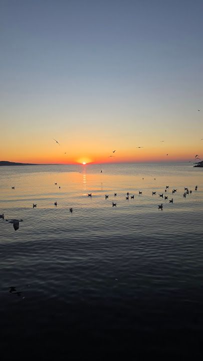 Fotoğraf 32