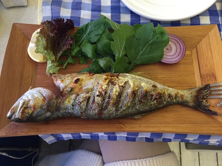 Fotoğraf 53